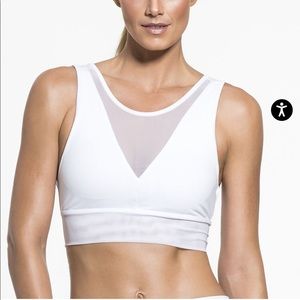 All Yoga Jubilee Mesh Sports Bra